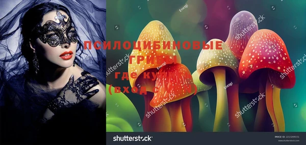 соль курить ск Рославль