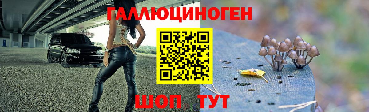 Галлюциногенные грибы GOLDEN TEACHER  Вход с VPN  Усолье-Сибирское 