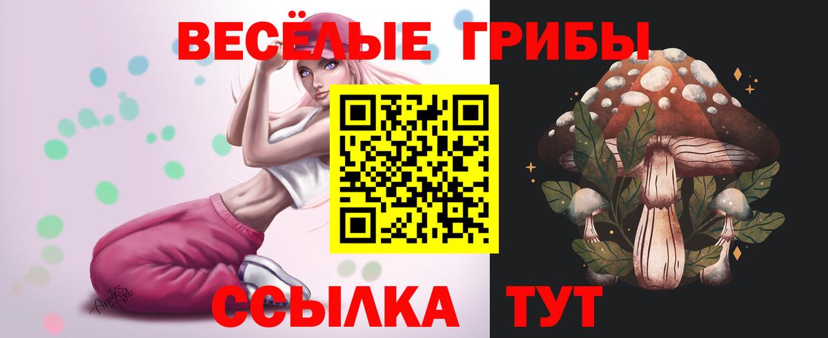 Галлюциногенные грибы Psilocybe Усолье-Сибирское